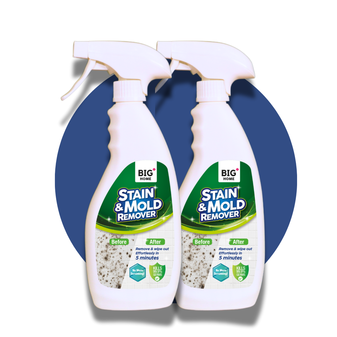 BIG+ Stain & Mold Remover | 2 x 500ml