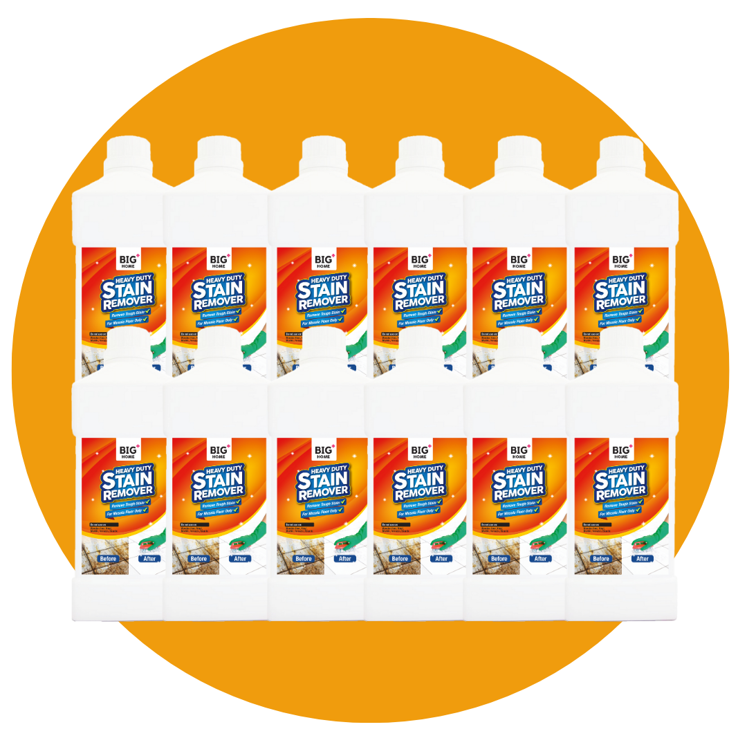 BIG+ Heavy Duty Stain Remover | 12 x 1000ml