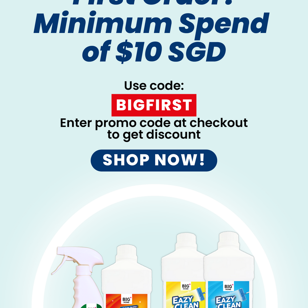 BIG+ Singapore